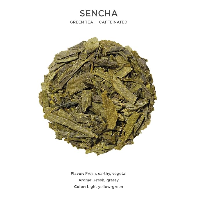 Tea Forte Sencha Premium Loose Leaf Caffeinated Green Tea Blend Canister, Makes 35-50 Cups