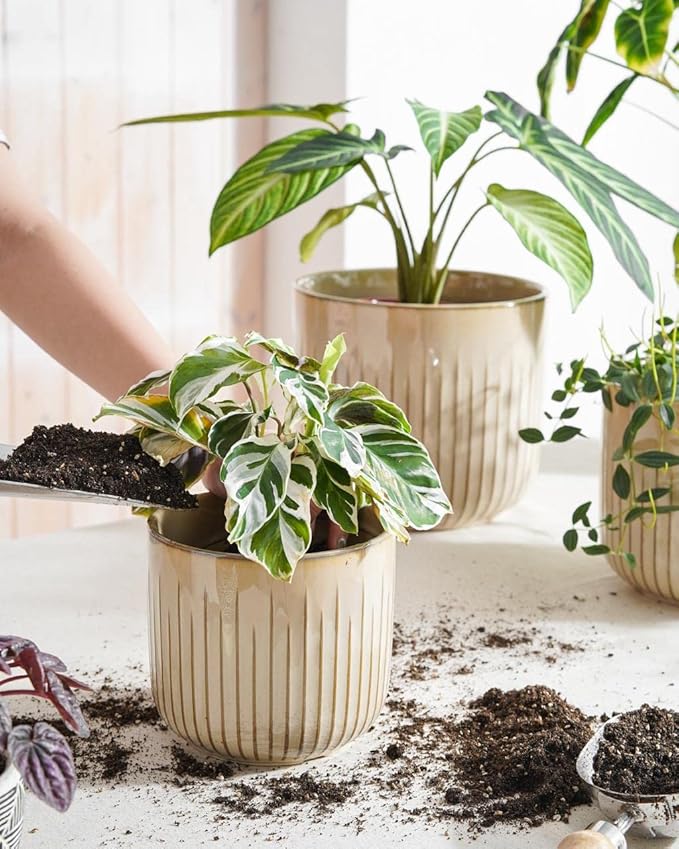 LE TAUCI Fluted Ceramic Planters Set of 3 – 8.3/7 / 5.7 in Cloud Cream Reactive Cylinder Indoor Plant Pots with Drainage Plug & Mesh, Glossy Stoneware Flower Pots for Succulents Herbs - Bloomnest