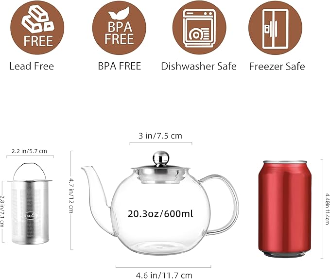 CNGLASS 600ml Glass Teapot with Removable Infuser,Clear Tea Kettle Stovetop Safe,Blooming and Loose Leaf Tea Maker - Bloomnest