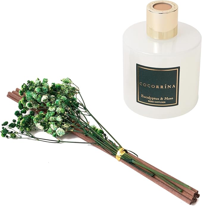Cocorrína Reed Diffuser Sets- Eucalyptus & Moss Scented Diffuser with Sticks Home Fragrance Reed Diffuser for Bathroom Shelf Decor - Bloomnest