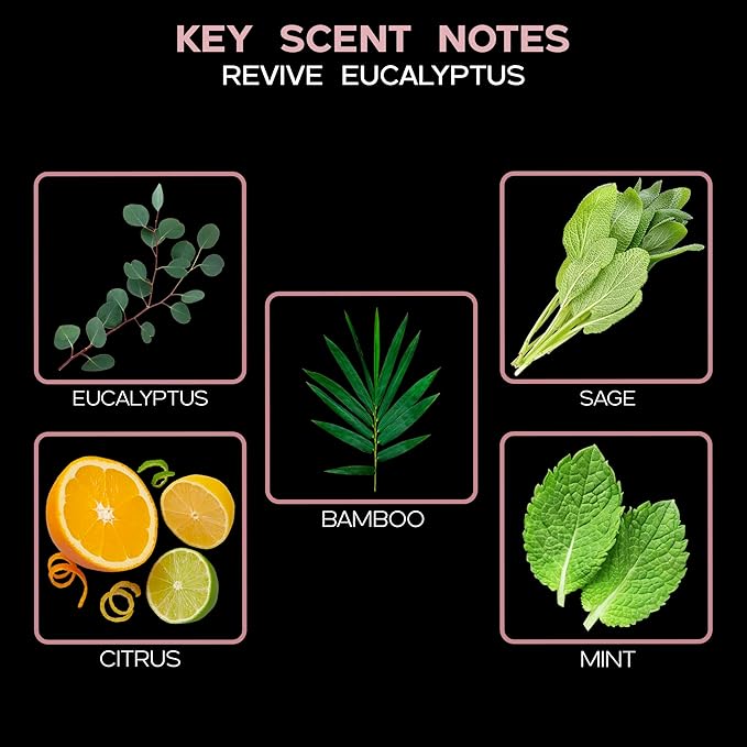 LOVSPA Reed Diffuser Set, Revive Eucalyptus Scented Oil Diffuser with Sticks, Home Fragrance Accessories for Bathroom Shelf Decor, Aroma Diffusers for Home or Office Desk, USA Made