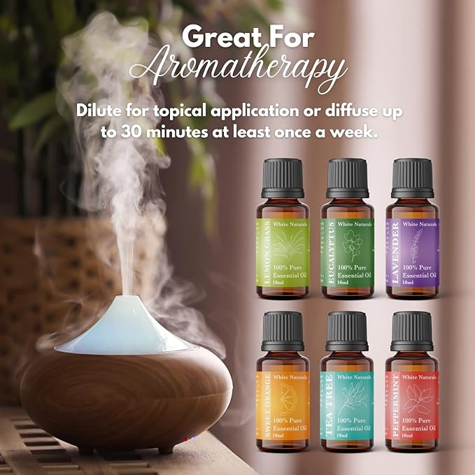 Essential oils of 6 kit - Set, 6X10ML Diffuser Fragrance Oils Essential Oil, Sweet orange, Tee Tree, Peppermint, Lemon Grass, Eucalyptus and Lavender - Bloomnest