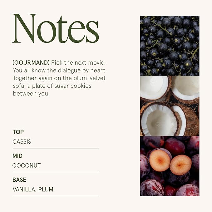 LA JOLIE MUSE Vanilla Plum Sky Candle - Coconut, Vanilla, Plum | 12 oz Large 2-Wick Soy Wax Candle | 60 Hours Clean Burn | Gift-Ready for Hosts & Gatherings | Elegant Home Decor - Bloomnest