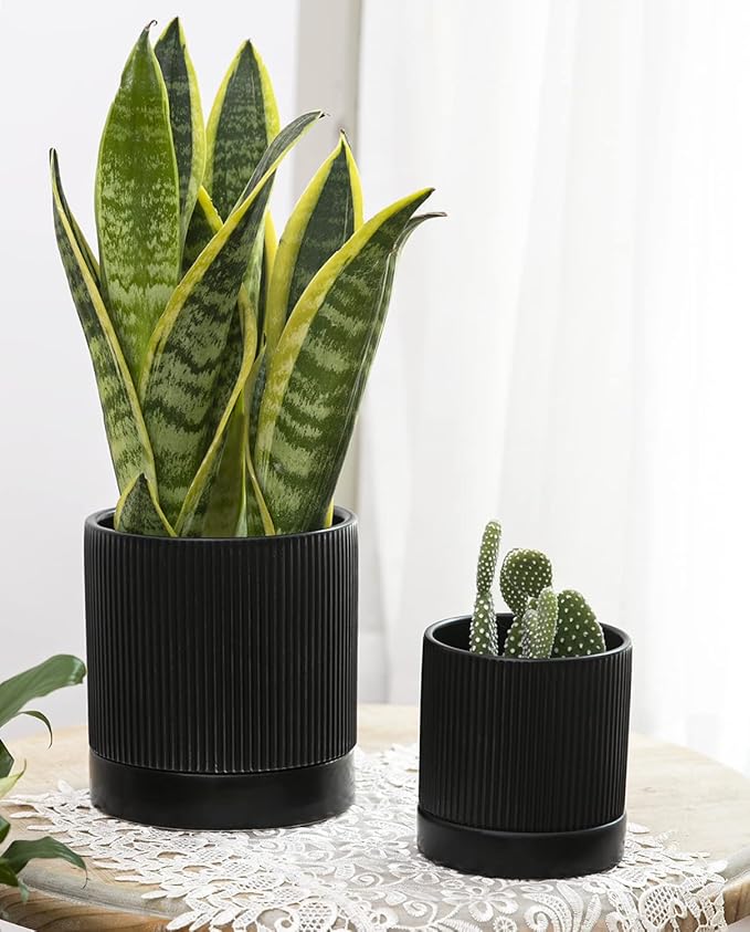 LaDoVita 3 Pack Ceramic Plant Pots 6/5/4 inch, Flowerpot for Indoor Plants with Drainage Holes and Tray, Outdoor Garden Planters, Modern Decorative for Home, Black Vertical Stripes - Bloomnest