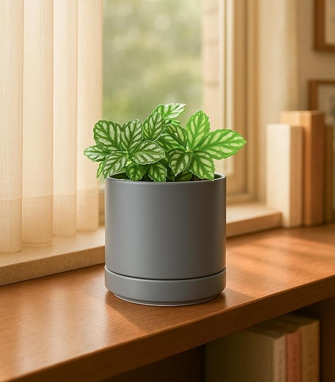 D'vine Dev 3.5 Inch & 4.7 Inch Ceramic Planter Pots for Plants with Drainage Hole and Saucer, X-Small Plant Pots Set, Speckled Grey, 94-G-XS-3 - Bloomnest