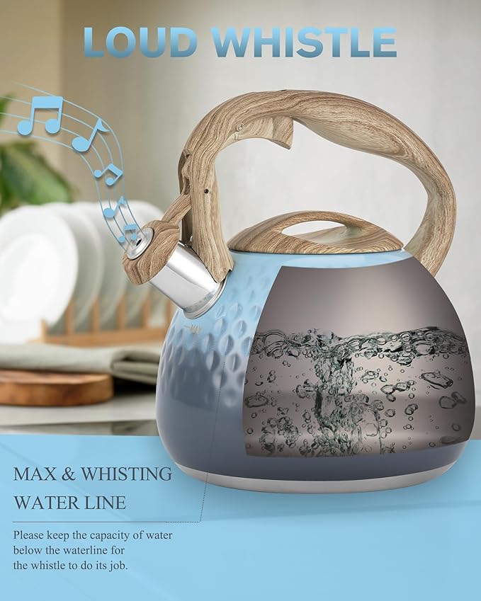 Tea Kettle, Loud Whistle Tea Kettles for Stovetop,Food Grade Stainless Steel Tea kettles for Stove Top with Anti-hot Ergonomic Handlefor Tea, Coffee, Milk,2.5QT - Bloomnest