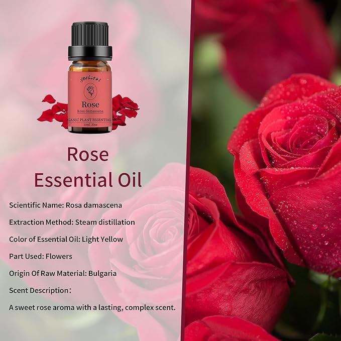 yethious Rose Jasmine Chamomile Essential Oil Set Organic 100% Pure Aromatherapy Oil for Diffuser, Soap, Candle Making 3 X 10ML - Bloomnest