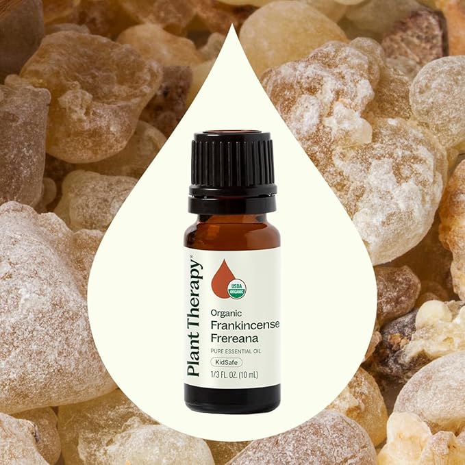 Plant Therapy Organic Frankincense Frereana Essential Oil 100% Pure, USDA Certified Organic, Undiluted, Natural Aromatherapy, Therapeutic Grade 10 mL (1/3 oz) PlantTherapy