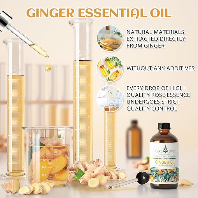 EVOKE OCCU 100% Pure Ginger Oil, Natural Ginger Essential Oil for Massage, Diffuser, Hair, Skin, DIY - 4 Fl Oz - Bloomnest