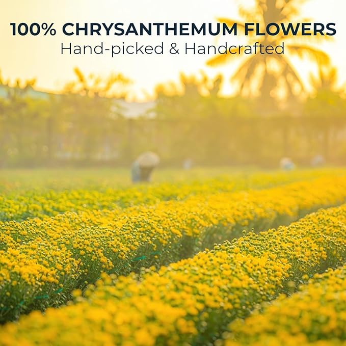 INJOY YOUR VITALGRI:N Vietnamese Chrysanthemum Tea - 55 Count (+5 Tea Bags) Bamboo Tong Included - 4.23 oz, Re-Steep Chrysanthemum Floral Scent Herbal Tea for Detox, Sleep, Relax Support, Daisy - Bloomnest