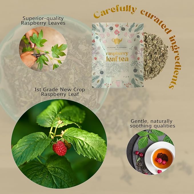 Raspberry Leaf Tea, Loose Leaf Herbal Tea – Supports Pregnancy & Labor Prep, Natural Menstrual Pain Relief – Women's Health – 4.4 oz Resealable Bag (Makes 50 Cups) – The Elegant Elephant - Bloomnest