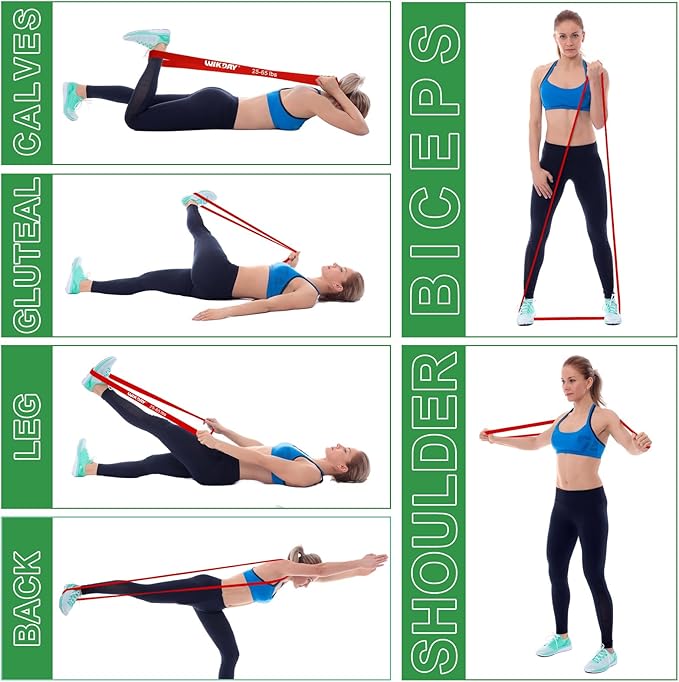 Resistance Bands, Pull Up Bands, Workout Bands for Exercise, Thick Heavy Resistance Band Set with Door Anchor, Elastic Bands for Body Stretching, Crossfit Training at Home/Gym Men & Women Women