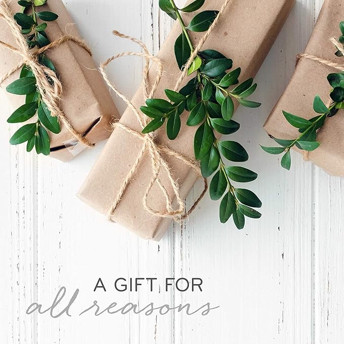 Thymes Frasier Fir Reed Diffuser Set – Includes Reeds, Fragrance Oil, and Frosted Glass Bottle – Fragrance Oil Diffuser – Room Fresheners – Luxury Home Decor – Silver (Statement, 4 fl oz) - Bloomnest