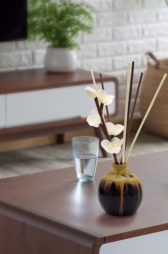 10 inch 20 Pcs Natural Rattan Wood Reed Diffuser Sticks Essential Oil Aroma Replacement Aroma Reed Diffuser Sticks (Brown-20pcs) - Bloomnest