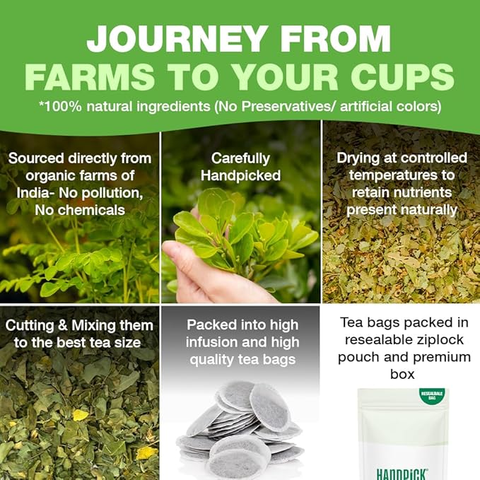 HANDPICK, Organic Moringa Tea Bags (100 Count), Pure Moringa Leaves | Authentic Indian Origin | Caffeine Free, Non GMO | Earthy, Light & Refreshing | Round Eco-conscious Teabags - Bloomnest