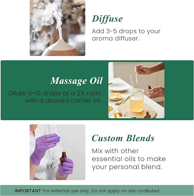 Handcraft Blends Pine Essential Oil – 1 Fl Oz – 100% Pure and Natural – Premium Grade Essential Oil for Diffuser and Aromatherapy, Skin, Massage, Candle and Soap Making Fragrance - Bloomnest