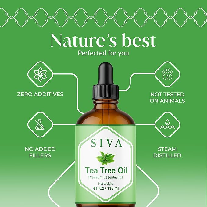 Siva Tea Tree Essential Oil - 4 Fl Oz – 100% Natural Tea Tree Oil - for Diffuser, Face, Skin Care, Aromatherapy, Hair Care, Scalp and Body Massage - with Dropper - Bloomnest