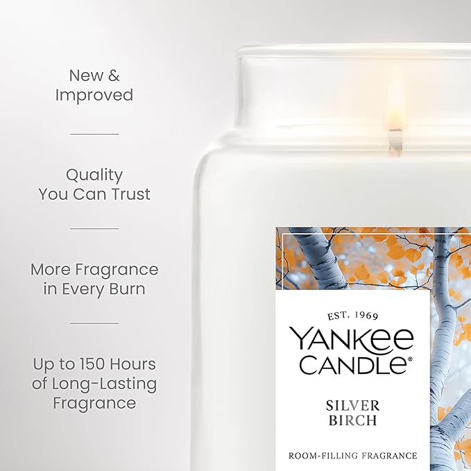 Yankee Candle, Silver Birch Fall Scented Candle, 22oz Large Jar with up to 150 Hour Burn Time - Bloomnest