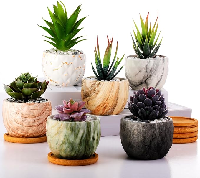 Marbling Ceramic Flower Pot 3.35 Inch Succulent Small Plant Cactus Herbs Planter Ceramic Pot with Drainage Hole Matte Round Container(6 Pcs,Elegance Style) - Bloomnest