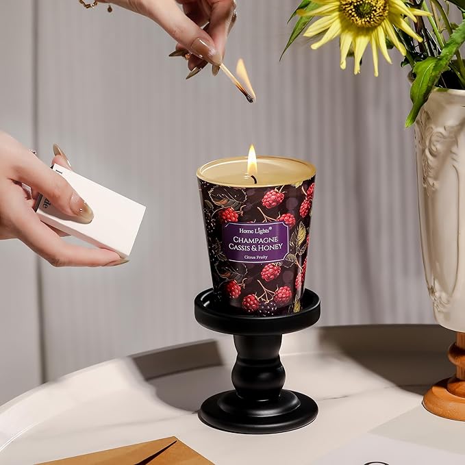HomeLights Scented Candles for Women & Men, 6.7oz Candle Jars Aromatherapy Single Wick Candle, Ideal for Eclectic Mixed Styles Home Decor and Gifts, Champagne Cassis & Honey - Bloomnest