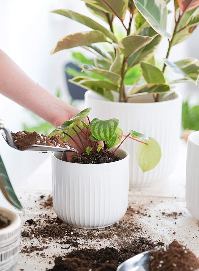 LE TAUCI Fluted Ceramic Planters Set of 3 – 8.3/7 / 5.7 in White Cylinder Indoor Plant Pots with Drainage Plug & Mesh, Matte Glazed Stoneware Flower Pots for Succulent Herb Cactus - Bloomnest