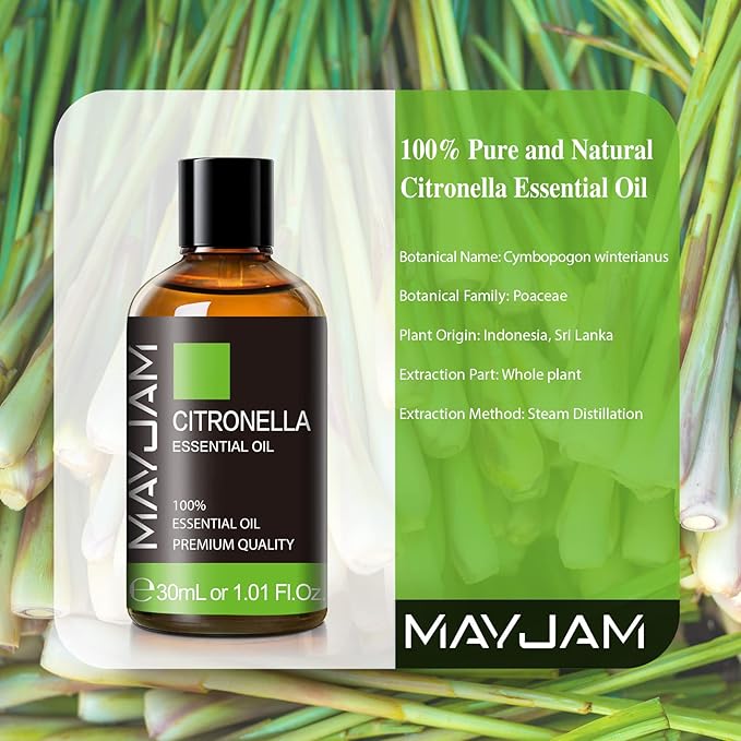 Citronella Essential Oil, MAYJAM 1.01FL.OZ Premium Citronella Oils for Soap Candle Making, Diffuser, Bedroom, Living Room, Office, 30ML/Bottle - Bloomnest