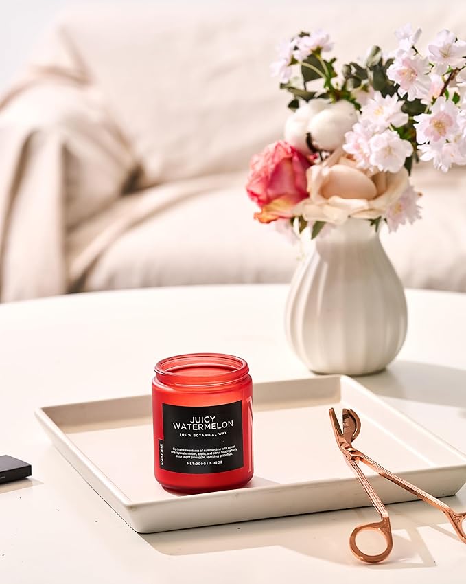M&SENSE Juicy Watermelon Scented Candle, 7.05oz 50 Hours Clean Non Toxic Natural Soy Wax Long Lasting Candle for Women Men, 2 Wick Fruit Scent Home Fragrance Home Decor for Housewarming Gifts - Bloomnest