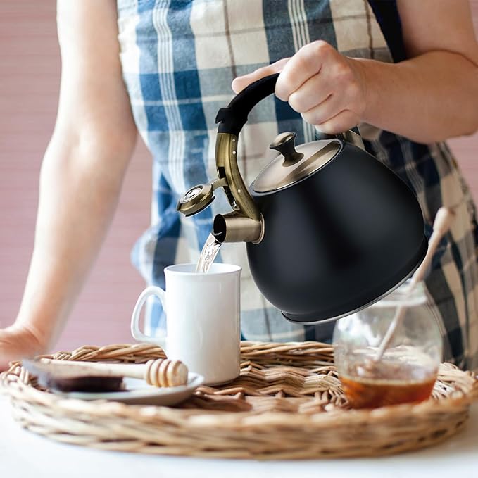 Tea Kettle Stovetop Whistling Kettle Teapot, 3Quart Tea Pot Stainless Steel Teakettle for Stove Top with Heat Proof Ergonomic Handle - Bloomnest