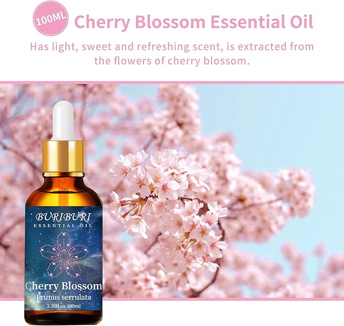 BURIBURI Cherry Blossom Essential Oil for Aromatherapy Diffuser, Skin, 100% Pure Cherry Blossom Oil 100ML for Candle, Soap, Perfume Making Cherry Fragrance Oil 3.38fl.oz BURIBURI