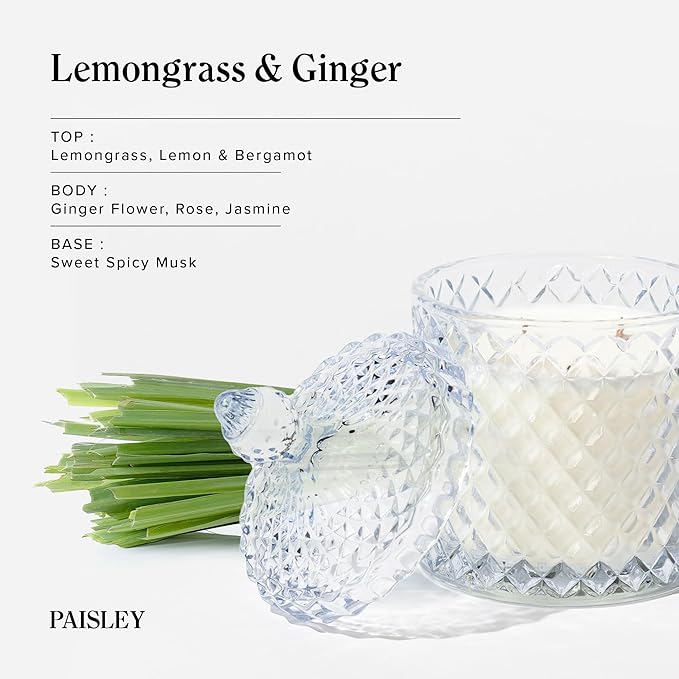 Hidden label Large Wood Wick Lemongrass & Ginger Scented Candles,Soy Wax Candle for Home Scented,Long Burning time and Large Glass Jar Candle, Luxury Candle Gift for Women & Men,14.8 oz - Bloomnest