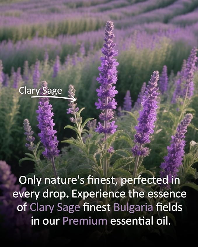Clary Sage Essential Oil 4 fl oz, 100% Pure Clary Sage Oil with Herbal and Soft Floral Aroma for Diffuser Use, Aromatherapy Suitable for DIY Blends, Everyday Scent Experiences Airoomoil