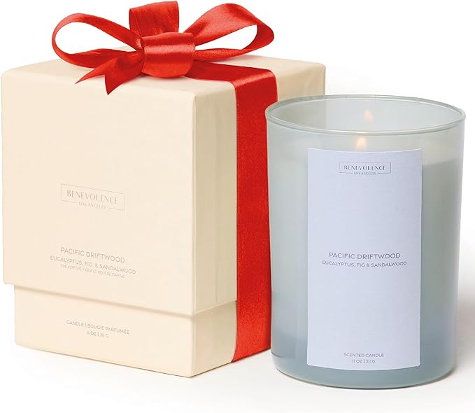 Eucalyptus Fig & Sandalwood Scented Candle | 11oz, 60 Hour Burn | Natural Soy Wax, Cotton Wick | Holiday Candles | Christmas Scented Candles for Home | Sun-Kissed Collection - Pacific Driftwood - Bloomnest