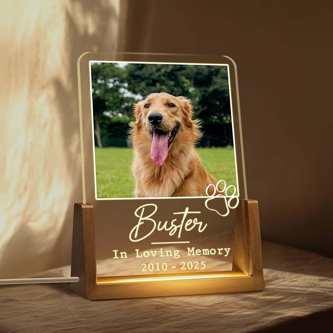 Personalized Pet Memorial LED Night Light, Custom Dog & Cat Photo Plaque, Pet Lover Keepsake, Animal Memorial Frame, Sympathy Gift for Pet Loss, Gifts for Dog and Cat Owners Table Decor - Bloomnest