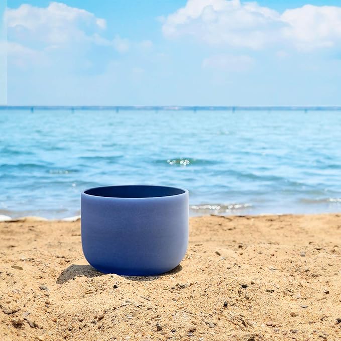 TOPFUND Indigo A Note Crystal Singing Bowl Third Eye Chakra 10 inch with Heavy Duty Carrying Case and Suede Mallet