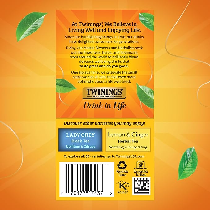 Twinings Earl Grey Extra Strong Black Tea Individually Wrapped Bags, 20 Count (Pack of 6), Flavoured with Citrus and Bergamot, Caffeinated, Enjoy Hot or Iced, 120 Teabags - Bloomnest