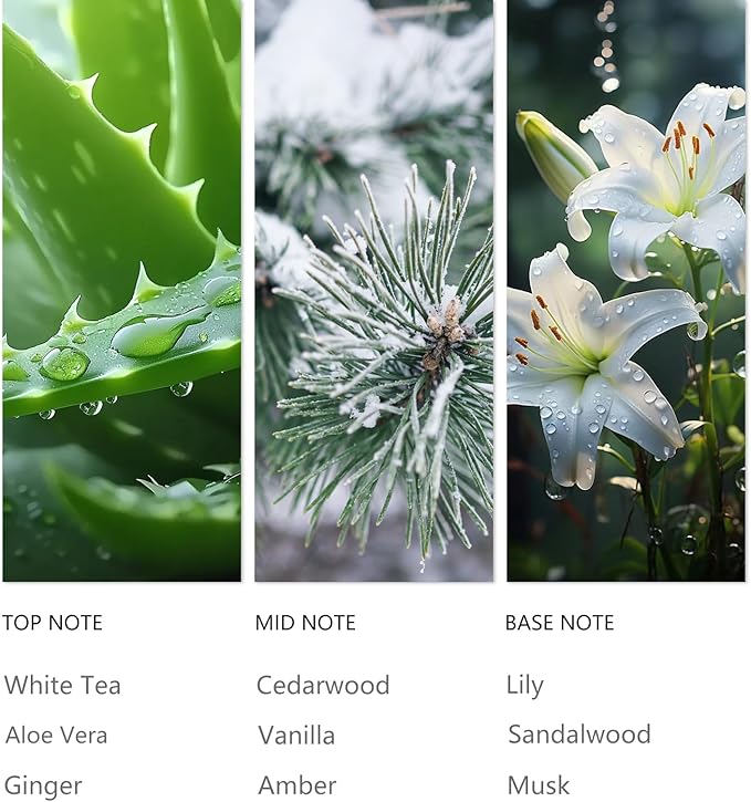 Waterless Diffuser Oil Olene, Essential Scent Oil Usage Cold Air Waterless Diffuser, Luxury Scents Oils Fragrance Bottle120 ML Home Natural Flavour - Bloomnest