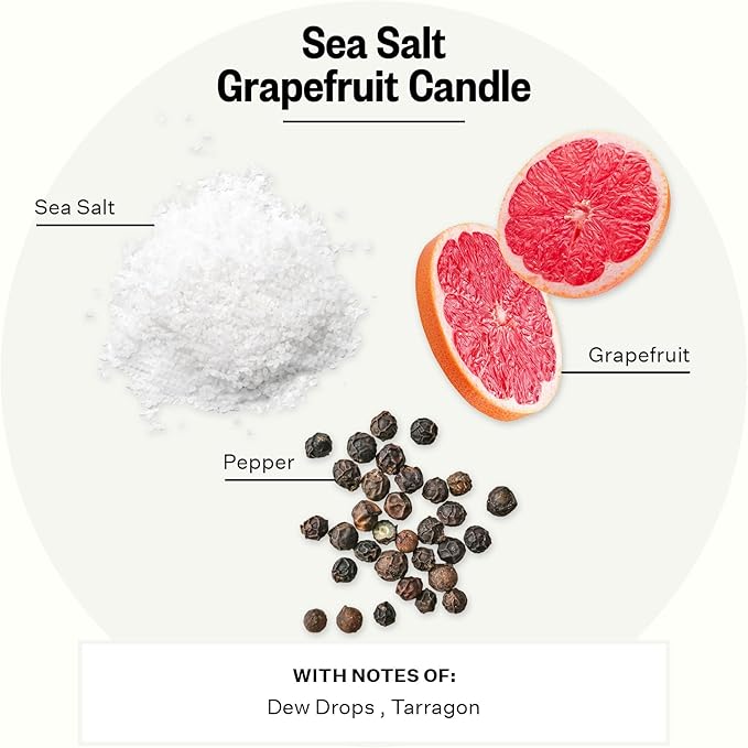 Apotheke 3-Wick Scented Candles for Home, Sea Salt Grapefruit - 26 oz Soy Wax Jar Candle Gift for Women - Long-Lasting Fragrance with Perfume-Grade Essential Oils - Pepper, Dew Drops & Tarragon - Bloomnest