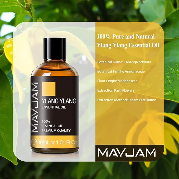 MAYJAM Ylang Ylang Essential Oil with Glass Dropper, MAYJAM 1.01fl.oz Ylang Ylang Oil Essential Oils for Diffusers, Humidifier, Yoga, Soap Candle Making - Bloomnest