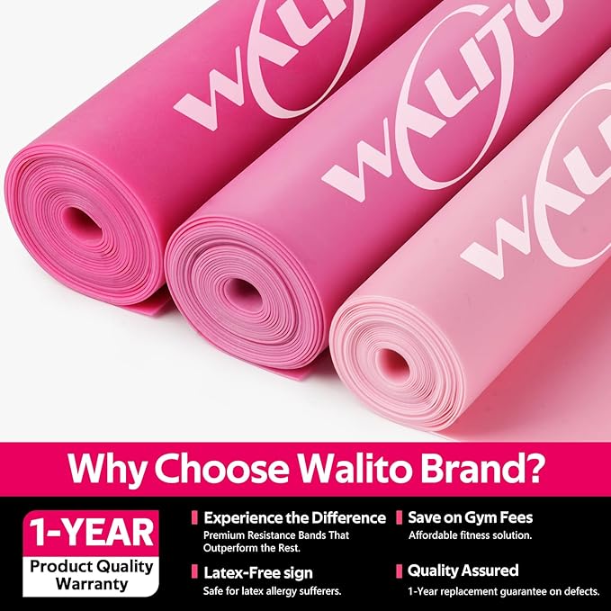 WALITO Resistance Bands for Working Out, Exercise Bands for Women and Men, Workout Bands for Physical Therapy, Stretch, Recovery, Pilates, Rehab, Strength Training and Home Gym - Bloomnest