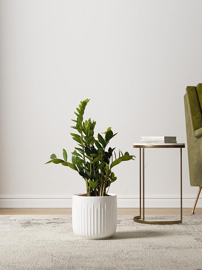 LE TAUCI Fluted Ceramic Planters Set of 3 – 8.3/7 / 5.7 in White Cylinder Indoor Plant Pots with Drainage Plug & Mesh, Matte Glazed Stoneware Flower Pots for Succulent Herb Cactus - Bloomnest