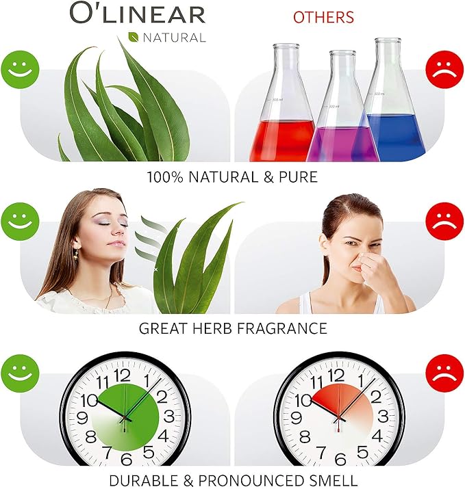 O'linear Natural Essential Oil for Diffuser for Home & Humidifier, Eucalyptus Oil for Steam Room Sauna Long-Lasting Aromatherapy, 100% Pure Eucalyptus Essential Oil Drops for Deep Breath - Bloomnest