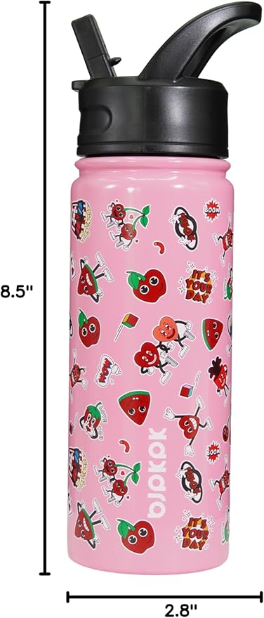 BJPKPK Insulated Water Bottle with Straw Lid, 18 oz Stainless Steel Metal Water Bottles, Reusable Leak Proof BPA Free Water Bottles, Cups, Thermo, Passionate-Pink - Bloomnest