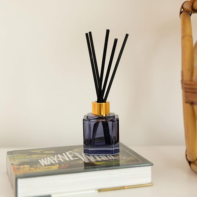 Paddywax Botanica Scented Oil Diffuser with Reeds in Reusable Blue Glass Bottle, Tubed Gift Box, Includes Diffuser Sticks, Long-Lasting Fragrance, Reusable & Upcyclable, Sea Salt & Amber, 2.8 fl oz PaddywaxCandles