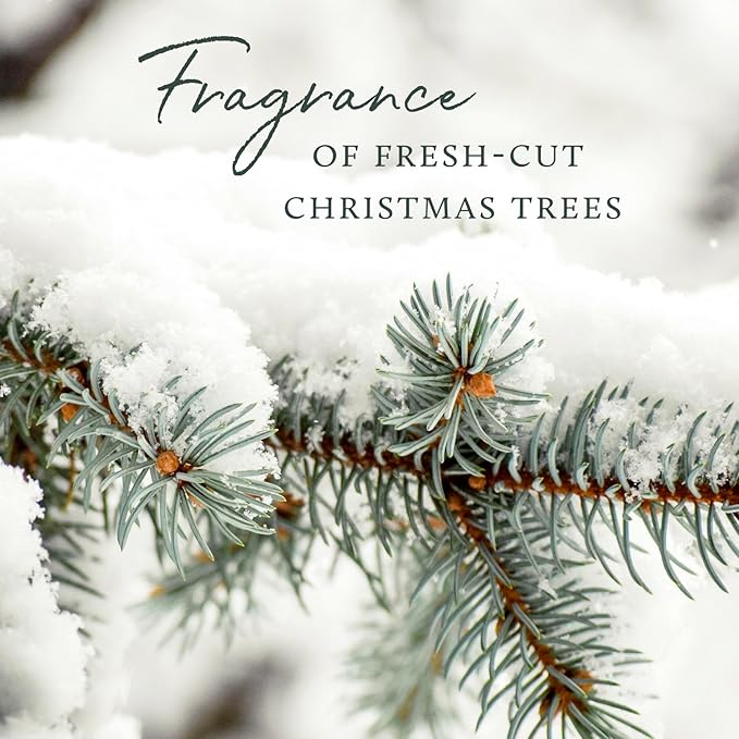 Thymes Frasier Fir Reed Diffuser Set – Includes Reeds, Fragrance Oil, and Frosted Glass Bottle – Fragrance Oil Diffuser – Room Fresheners – Luxury Home Decor – Silver (Statement, 4 fl oz) - Bloomnest