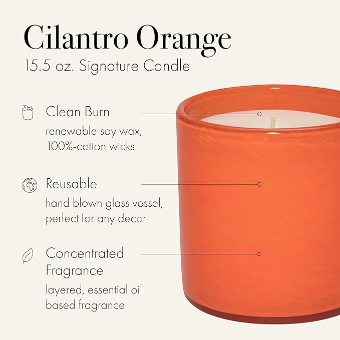 LAFCO New York Signature Candle, Cilantro Orange - 15.5 oz - 90-Hour Burn Time - Reusable, Hand Blown Glass Vessel - Made in The USA - Bloomnest