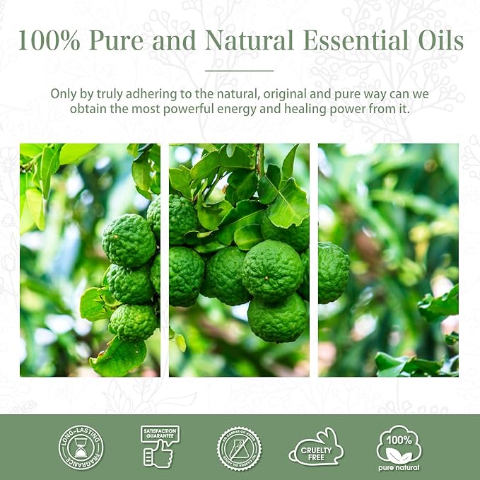 PHATOIL 3.38FL.OZ Bergamot Essential Oil, for Aromatherapy Diffusers, Humidifiers, Great for DIY Candle and Soap Making, Huge 100ML Bottle - Bloomnest