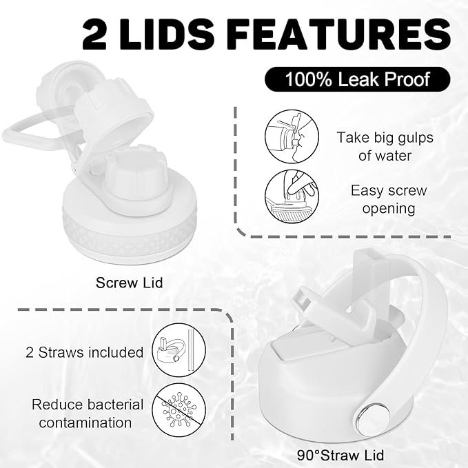 32oz Insulated Water Bottle, Fit in Any Car Cup Holder, Water Bottle with Straw Lids, Stainless Steel Insulated Water Flask Double Wall Leak-proof BPA Free to Keep Cold&Hot - Bloomnest