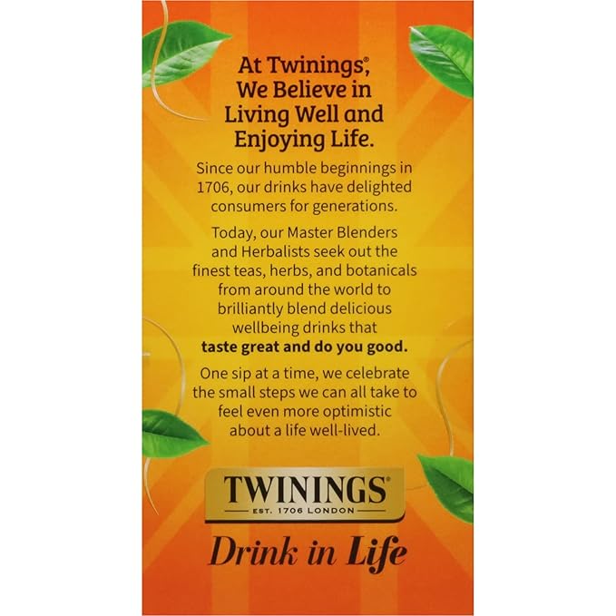 Twinings Winter Tea Collection, Limited Edition Holiday Gift Box, 20 Count (Pack of 3), Includes Christmas Tea, Winter Spice, and Gingerbread Joy, Enjoy Hot or Iced, 60 Teabags - Bloomnest