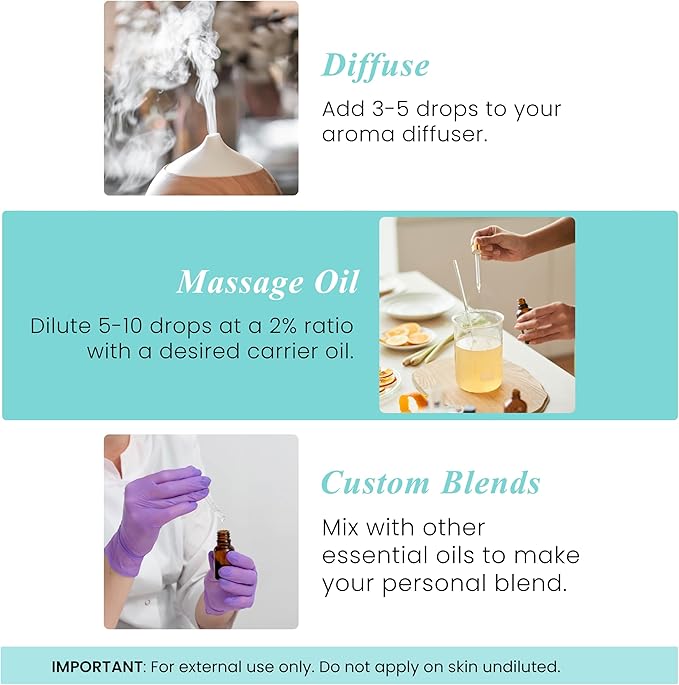 Handcraft Blends Spearmint Essential Oil – 1 Fl Oz – 100% Pure and Natural – Premium Grade Essential Oil for Diffuser and Aromatherapy, Skin, Massage, Candle and Soap Making Fragrance - Bloomnest