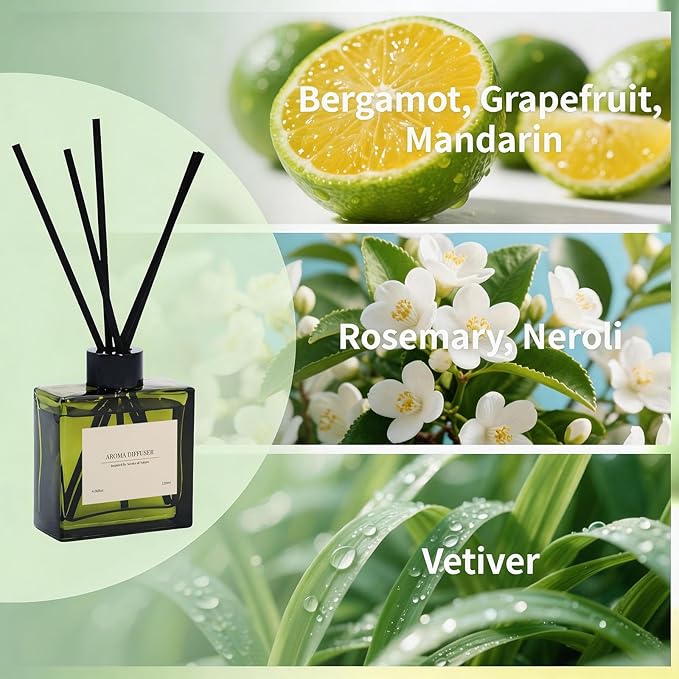 Reed Diffuser, 4 oz Citrus Grove Scent Diffuser with 10 Sticks, 90 Days Long Lasting Reed diffusers for Home, Elegant Fragrance for Bathroom Bedroom Office Decor, Air Fresh - Bloomnest